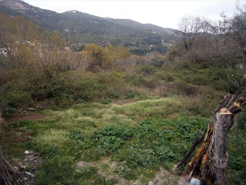 Grundstück in Thassos, Griechenland, 320 m2 - Foto 1