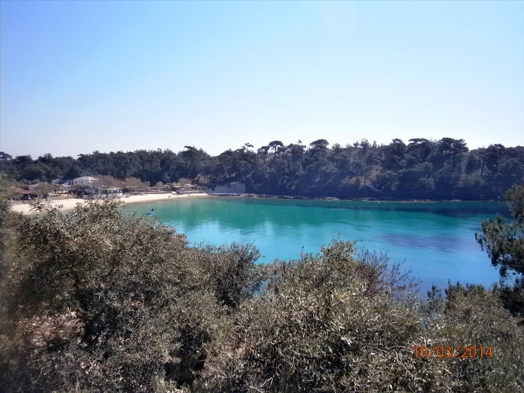 Land on Thasos, Greece, 13 000 sq.m - picture 1