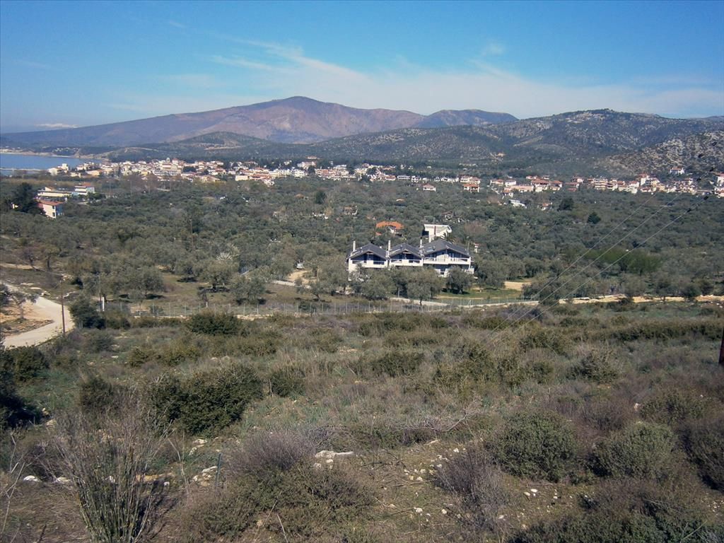 Land on Thasos, Greece, 5 500 sq.m - picture 1