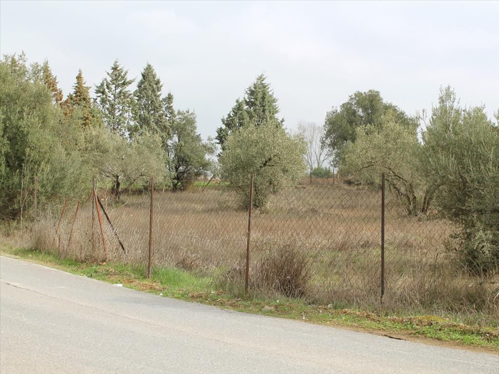 Land in Chania Prefecture, Greece, 13 000 sq.m - picture 1