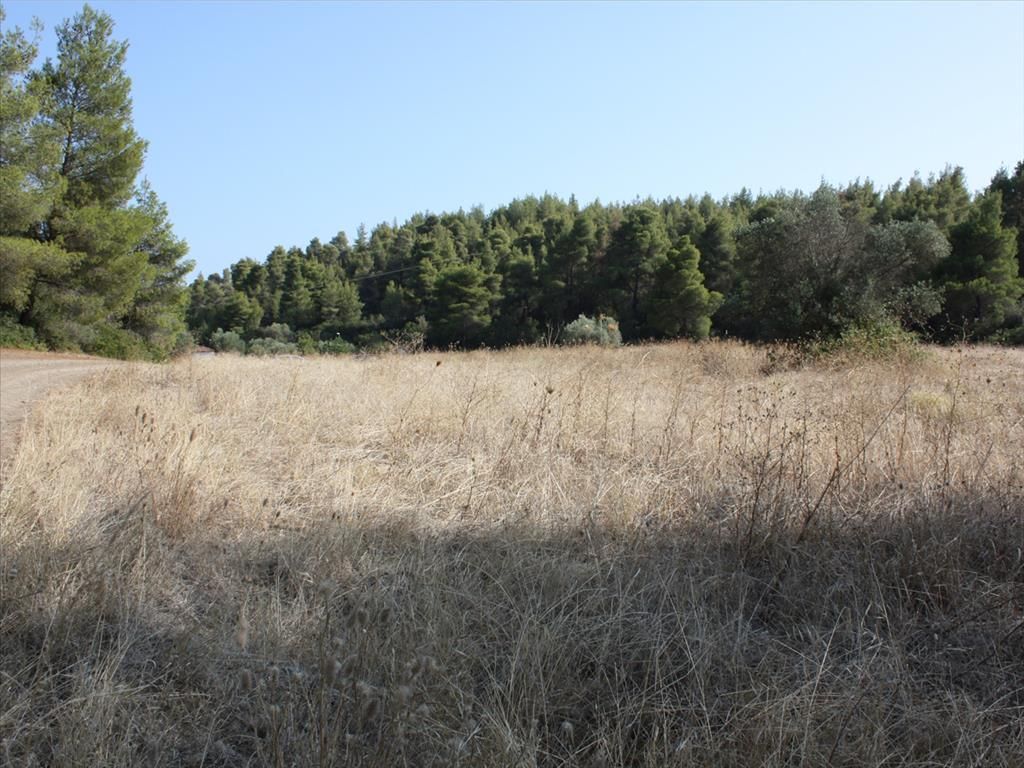 Land in Chalkidiki, Greece, 4 960 sq.m - picture 1