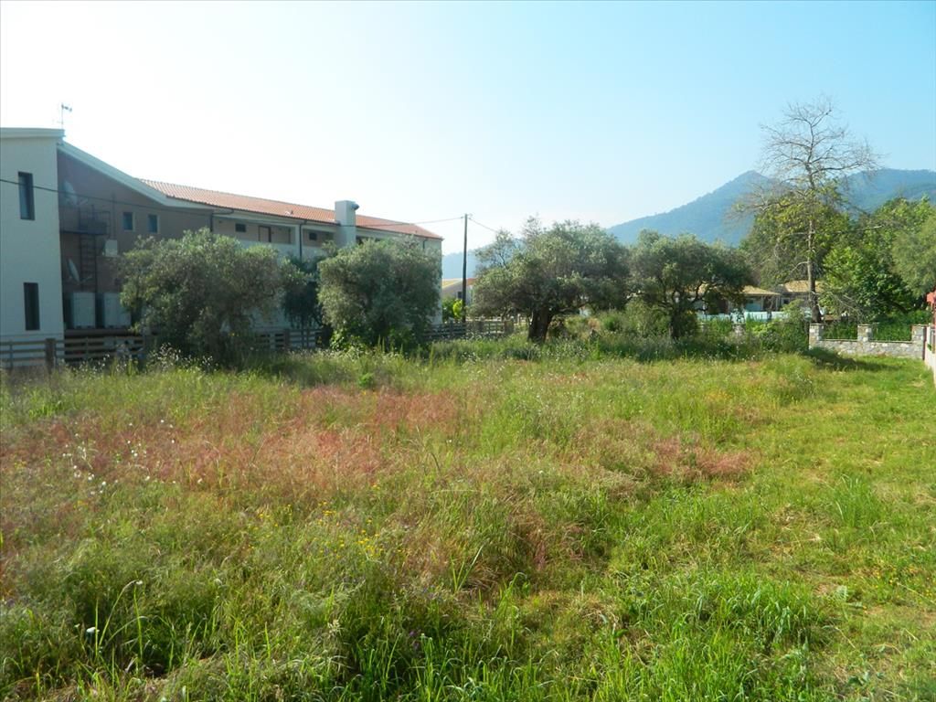 Land on Thasos, Greece, 640 sq.m - picture 1