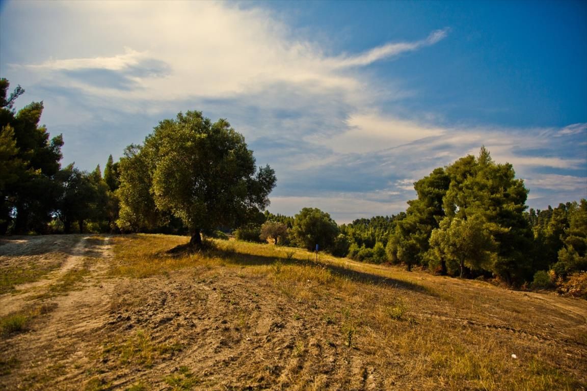 Grundstück in Chalkidiki, Griechenland, 4 238 m2 - Foto 1