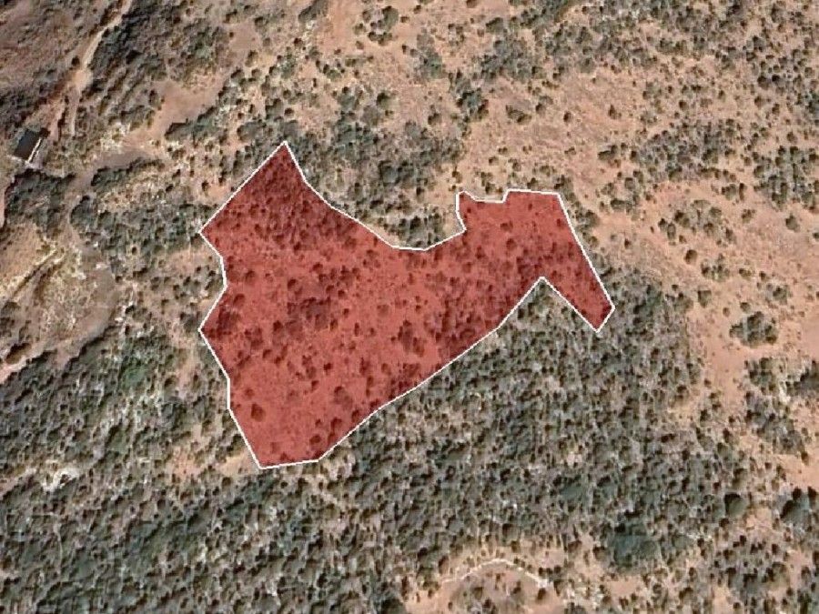 Land in Paphos, Cyprus, 17 057 sq.m - picture 1