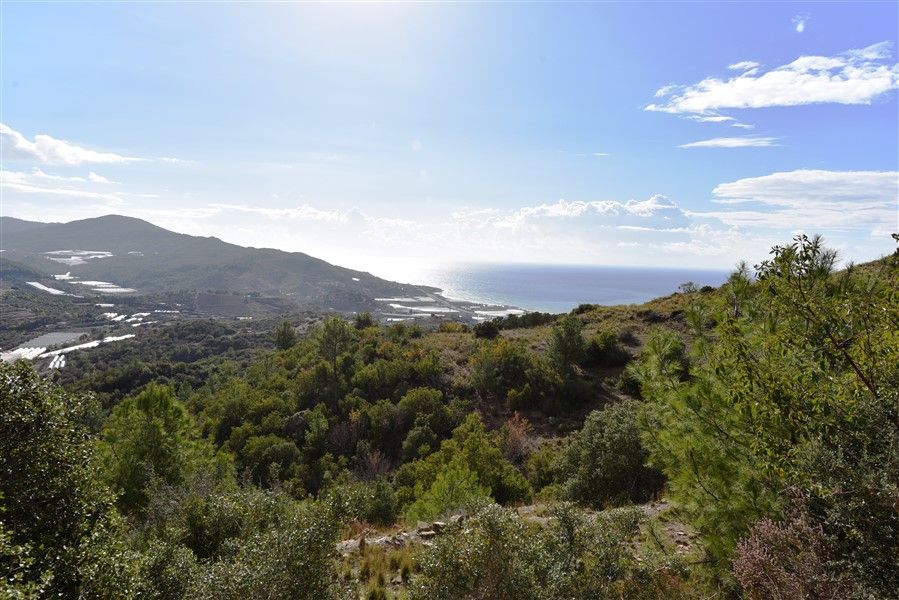 Land in Alanya, Turkey, 2 759 sq.m - picture 1