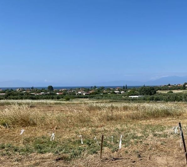 Land in Chalkidiki, Greece, 348 sq.m - picture 1