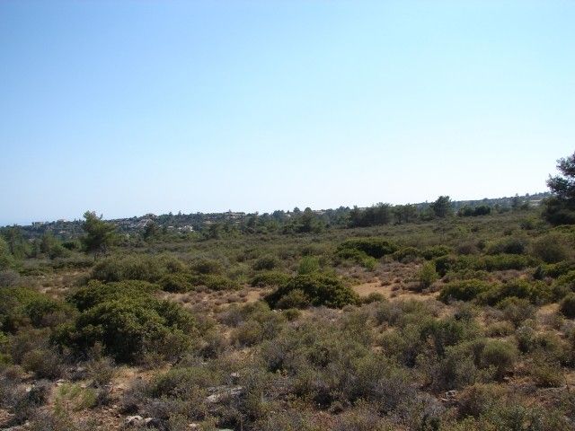 Land in Limassol, Cyprus, 79 934 sq.m - picture 1