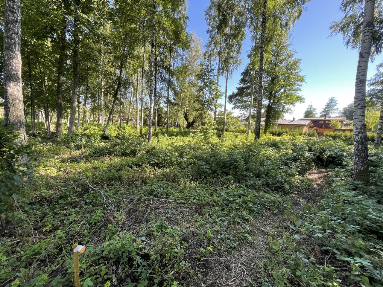Land in Carnikava District, Latvia, 1 272 sq.m - picture 1