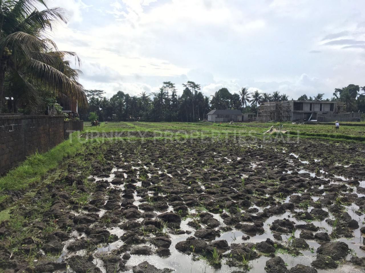 Terreno en Ubud, Indonesia, 2 683 m2 - imagen 1