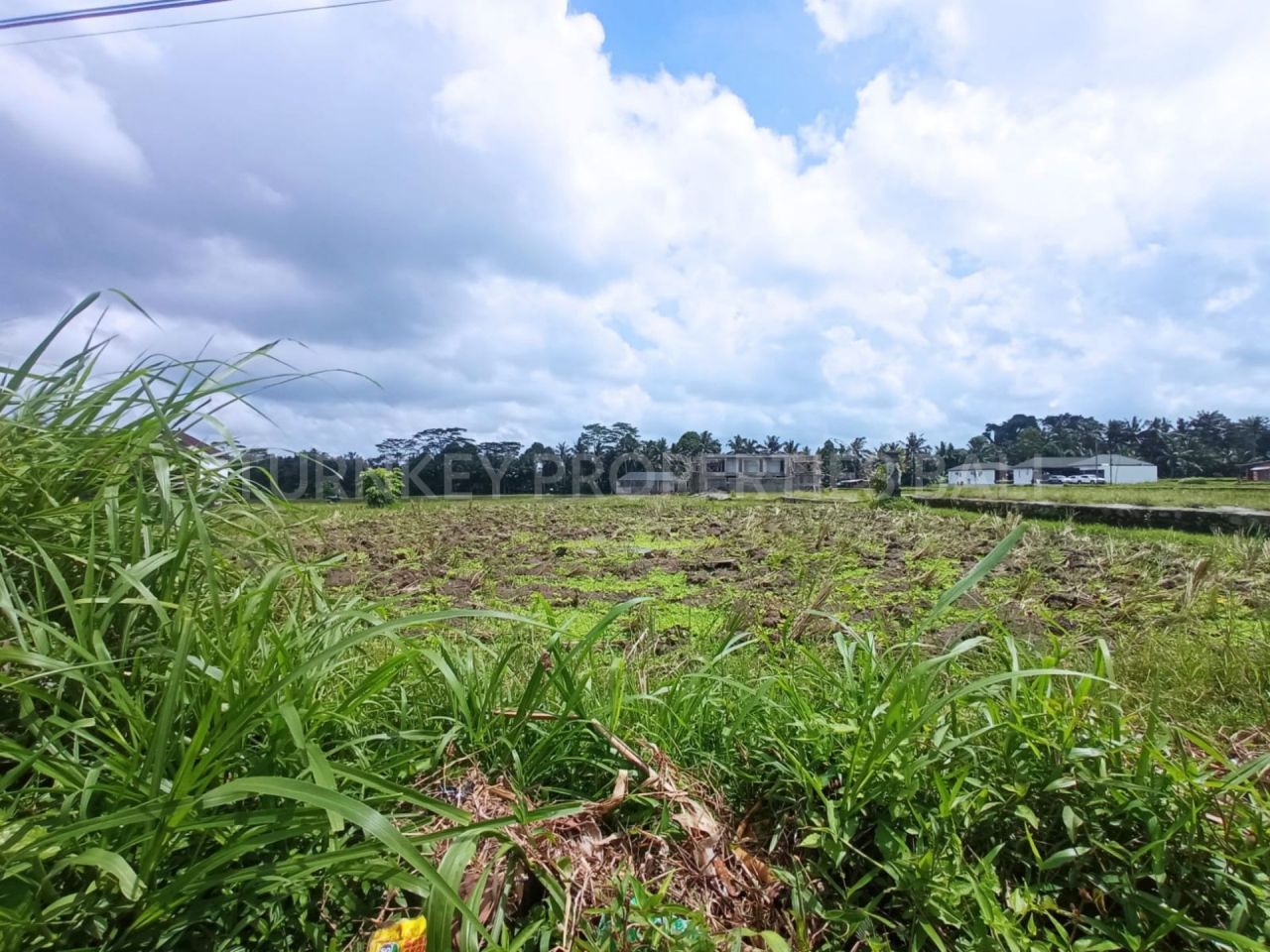 Land in Ubud, Indonesia, 2 100 sq.m - picture 1