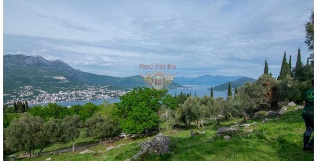 Land in Herceg-Novi, Montenegro, 10 000 sq.m - picture 1