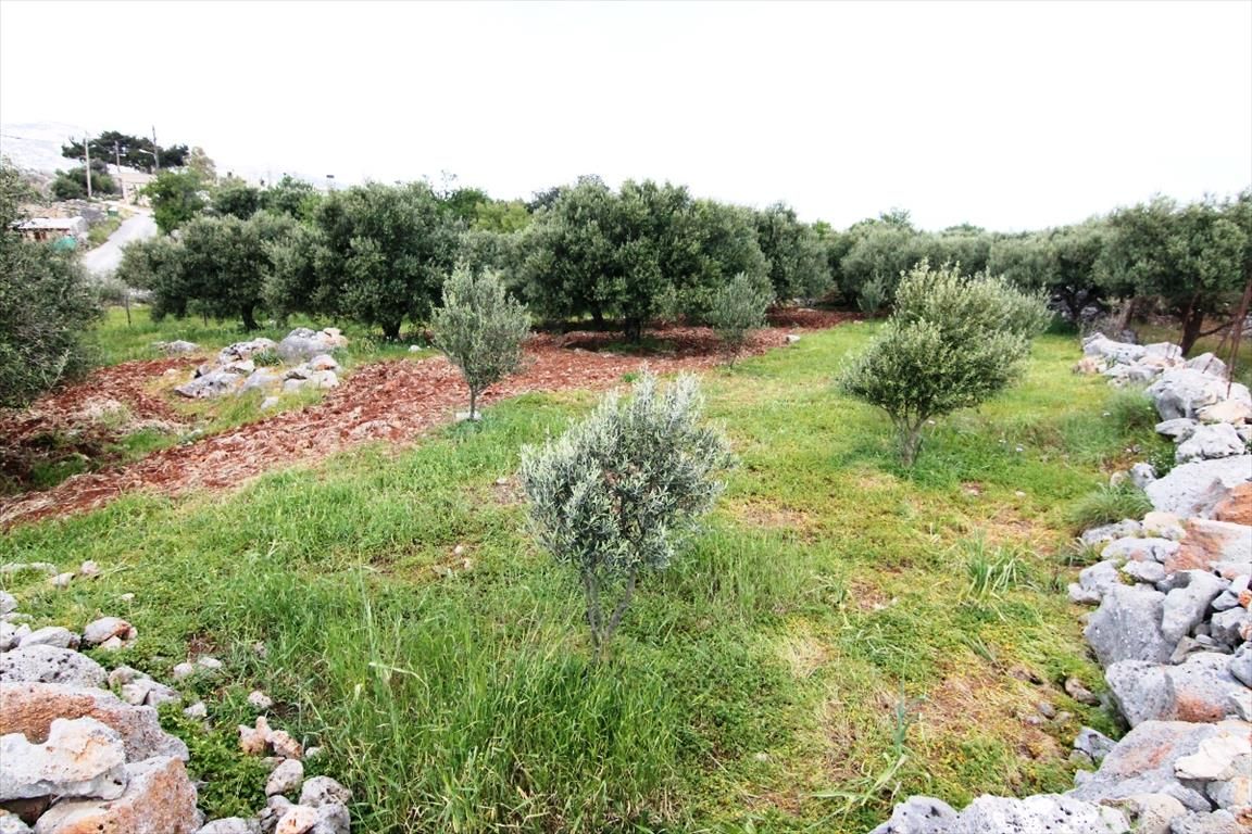 Land in Lasithi, Greece, 486 sq.m - picture 1