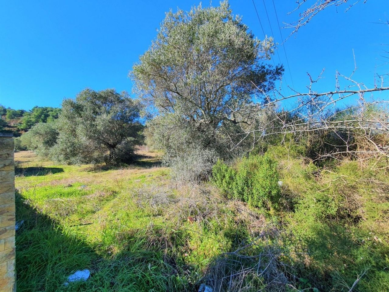 Land in Chalkidiki, Greece, 700 sq.m - picture 1