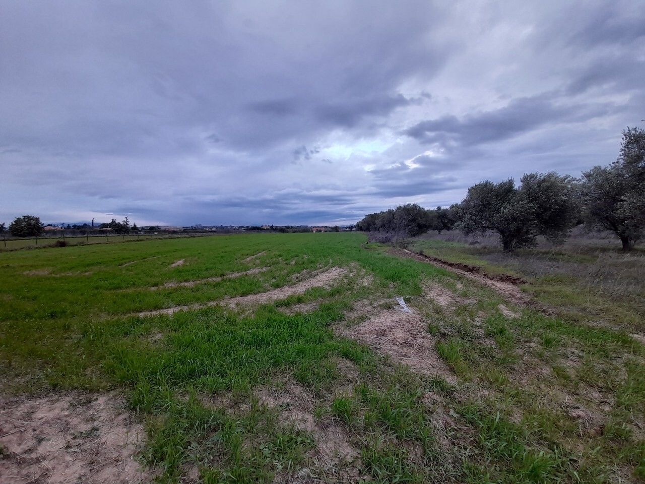 Land in Thessaloniki, Greece, 4 312 sq.m - picture 1