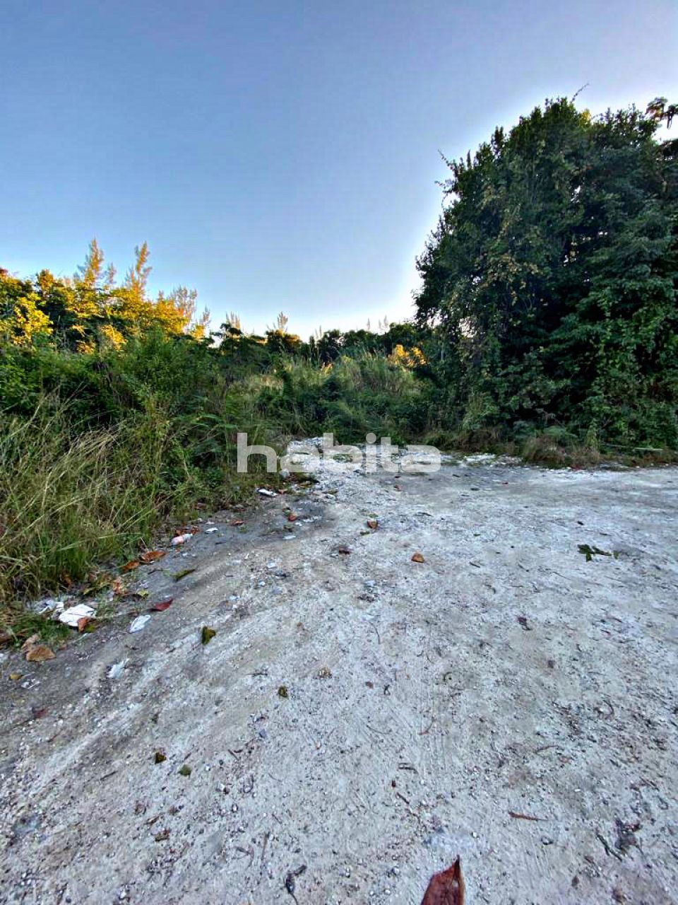 Land New Providence, The Bahamas, 20 446.74 sq.m - picture 1