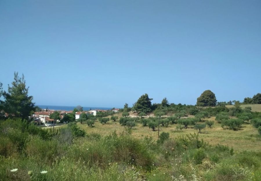 Land in Kassandra, Greece, 20 700 sq.m - picture 1