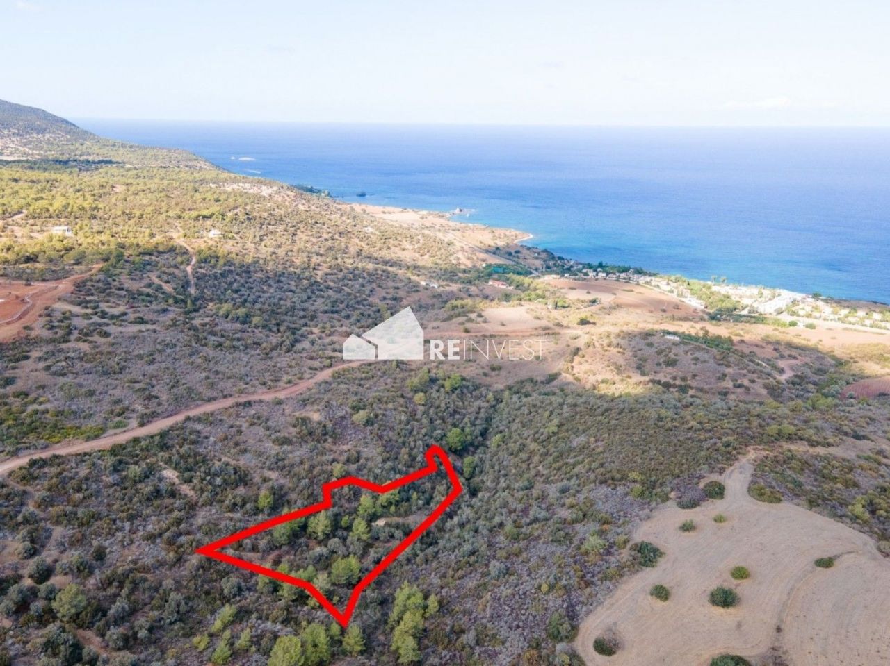 Land in Neo Chorio, Cyprus, 7 210 sq.m - picture 1