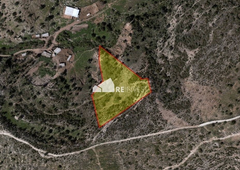 Land in Peyia, Cyprus, 10 703 sq.m - picture 1