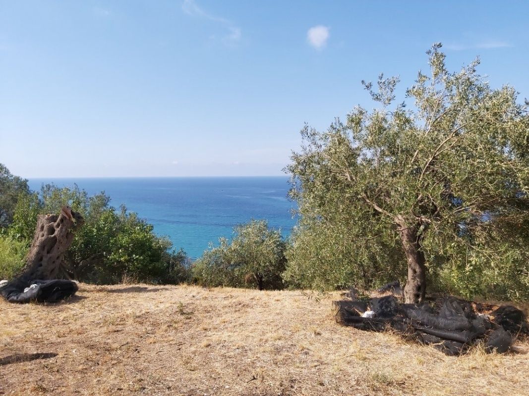 Land on Ionian Islands, Greece, 8 600 ares - picture 1
