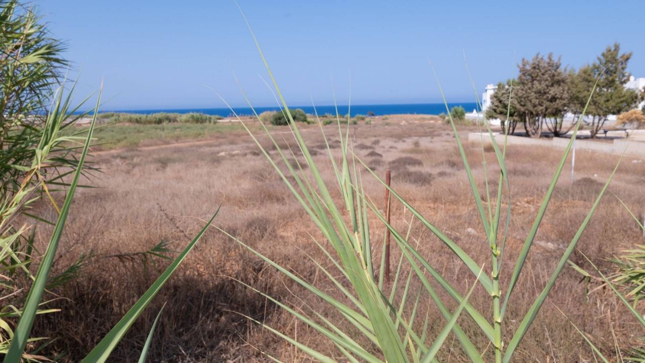 Terrain à Protaras, Chypre, 3 742 m2 - image 1