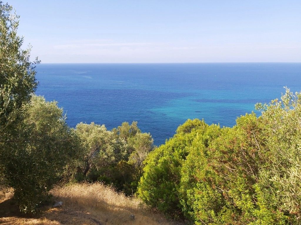 Land in Corfu, Greece, 8 600 sq.m - picture 1