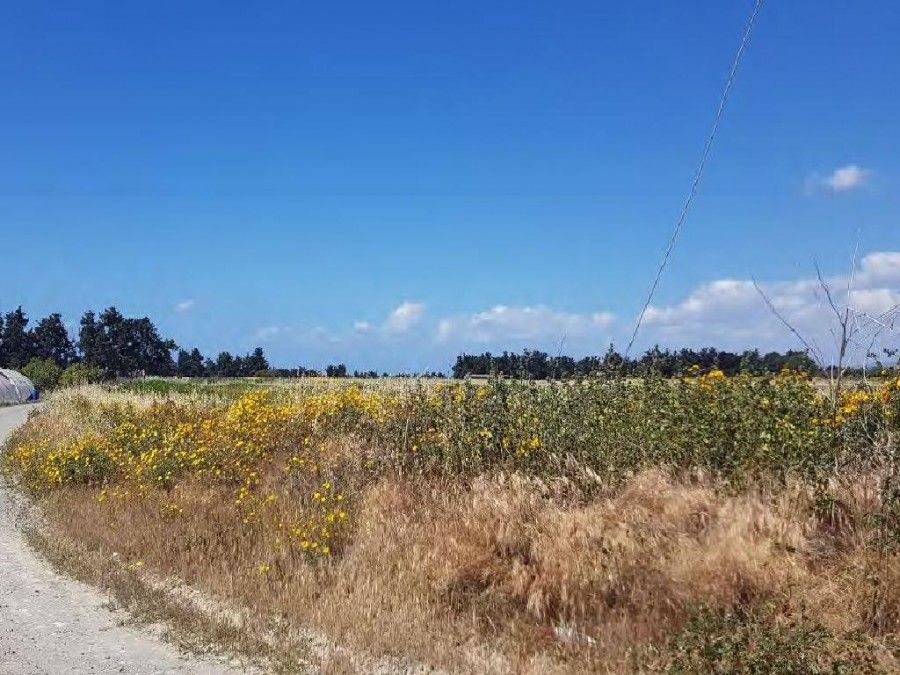 Land in Limassol, Cyprus, 10 703 sq.m - picture 1
