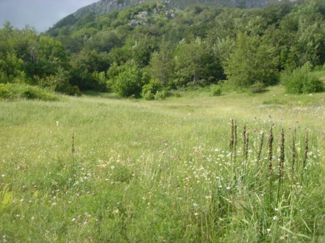 Land in Kolasin, Montenegro, 185 005 sq.m - picture 1