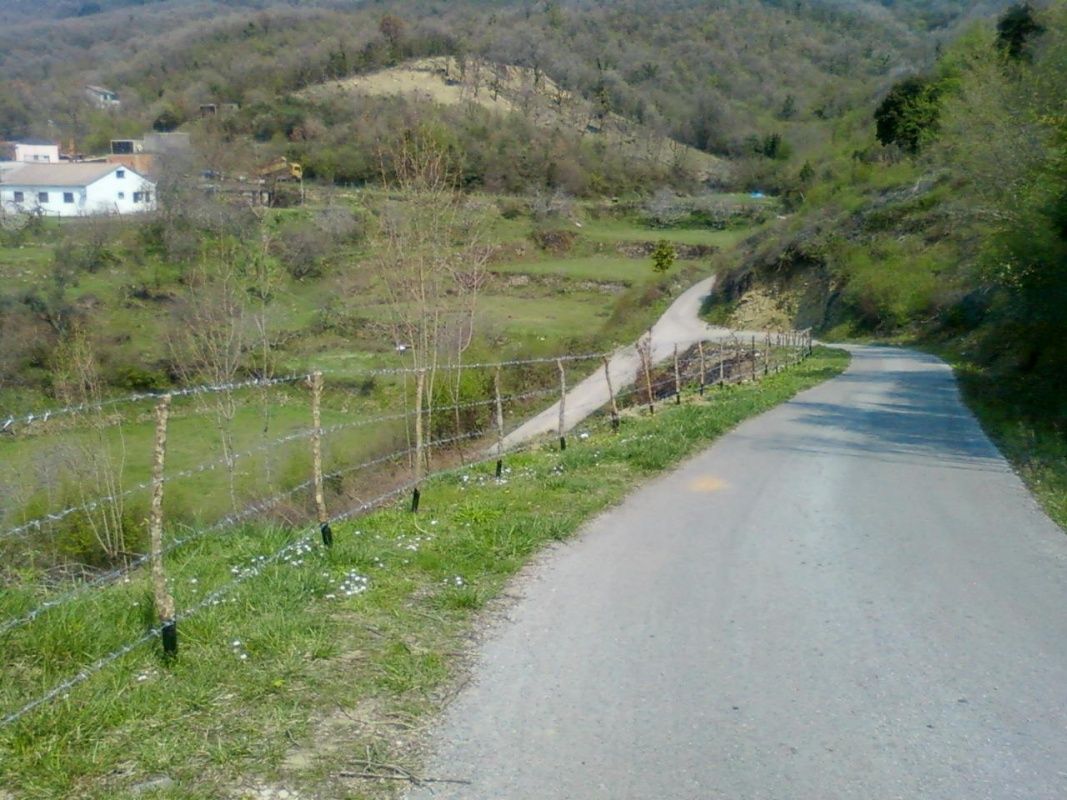Land in Ulcinj, Montenegro, 14 767 ares - picture 1