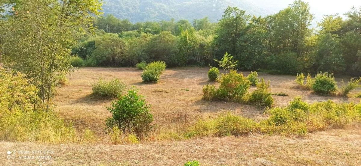 Land in Kolasin, Montenegro, 15 000 ares - picture 1