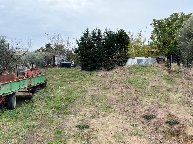 Land in Chalkidiki, Greece, 330 sq.m - picture 1