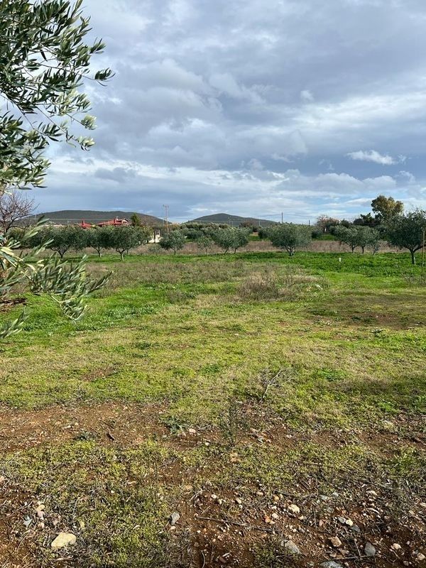 Land in Sithonia, Greece, 350 sq.m - picture 1
