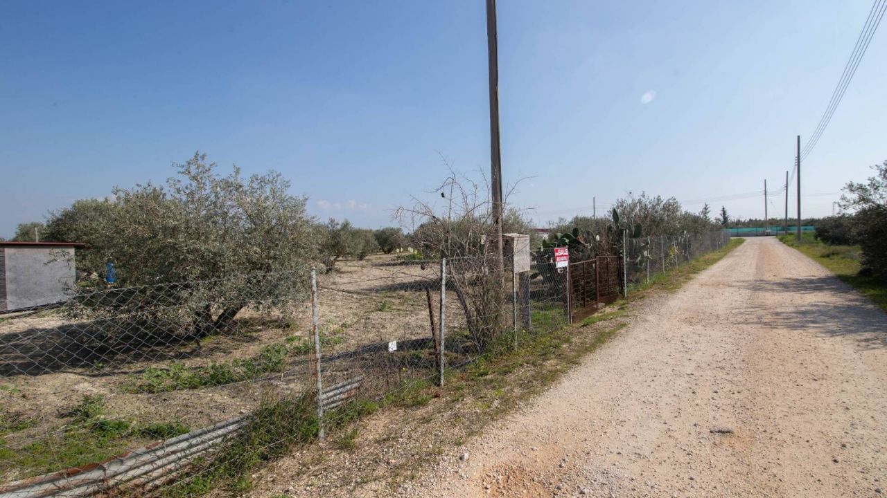 Terreno en Lárnaca, Chipre, 4 903 m2 - imagen 1