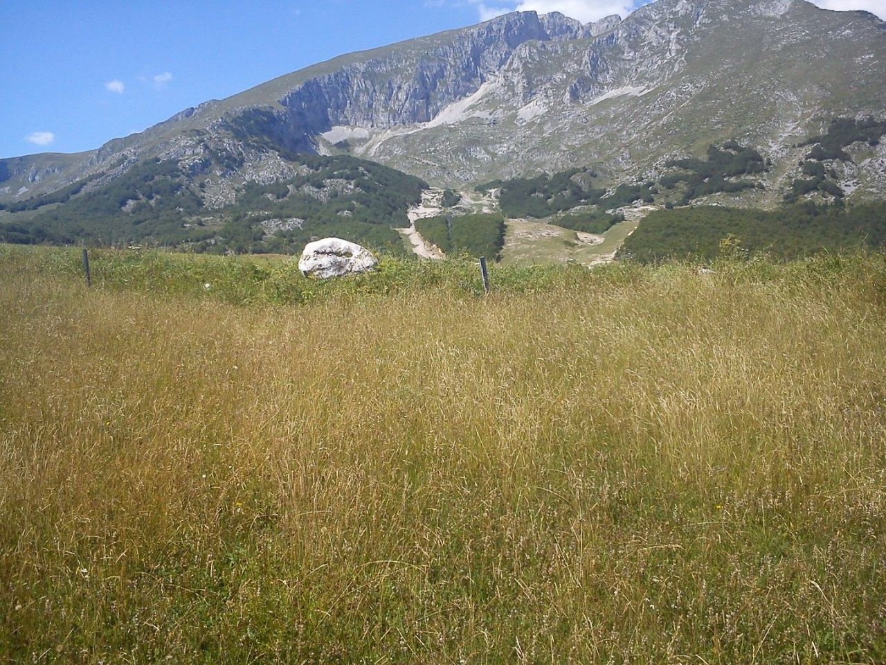 Land in Zabljak, Montenegro, 6 000 sq.m - picture 1