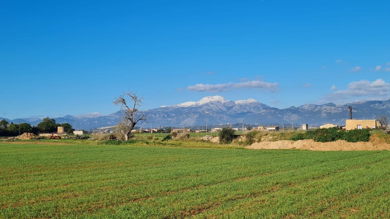 Land Sa Pobla, Spain, 54 000 sq.m - picture 1