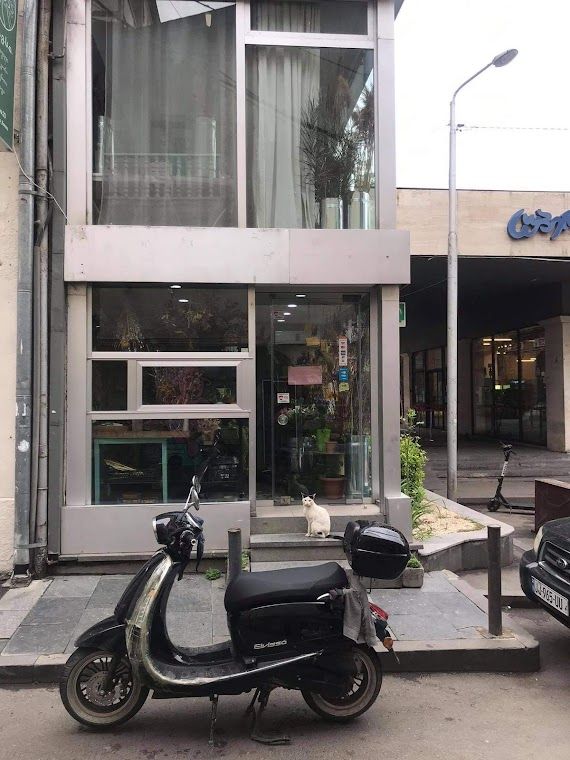 Boutique à Tbilissi, Géorgie, 40 m2 - image 1