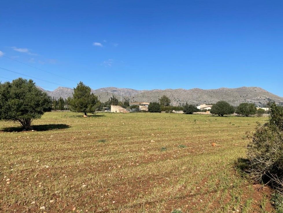 Land in Pollensa, Spain, 15 874 sq.m - picture 1