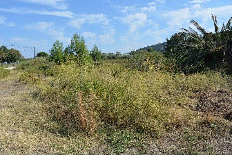 Land in Sithonia, Greece, 4 500 sq.m - picture 1