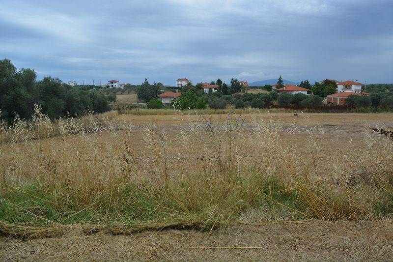 Grundstück in Kassandra, Griechenland, 6 750 m2 - Foto 1