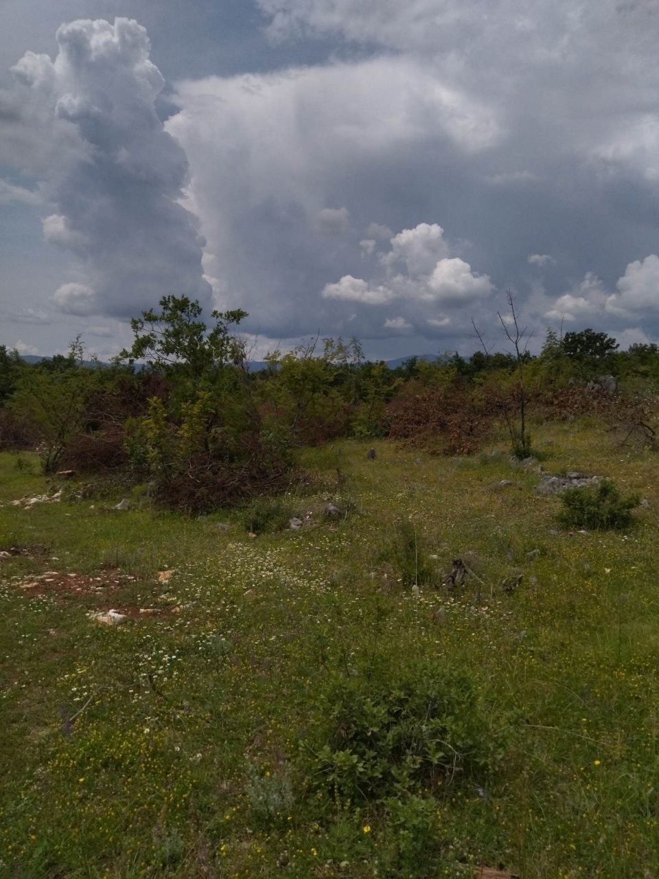 Land in Podgorica, Montenegro, 40 000 sq.m - picture 1