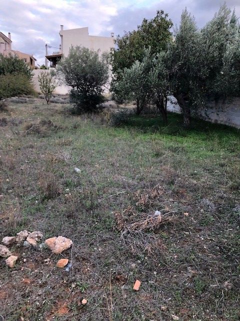 Land in Lagonisi, Greece, 800 sq.m - picture 1