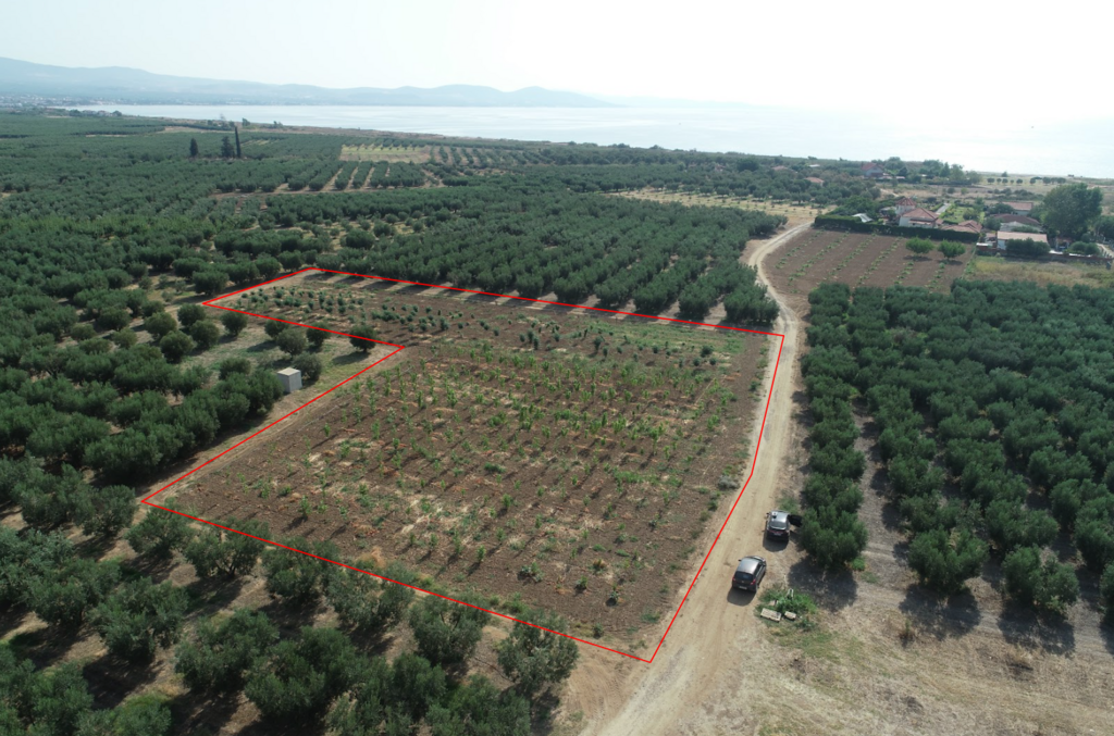 Land in Poligiros, Greece, 4 811 sq.m - picture 1
