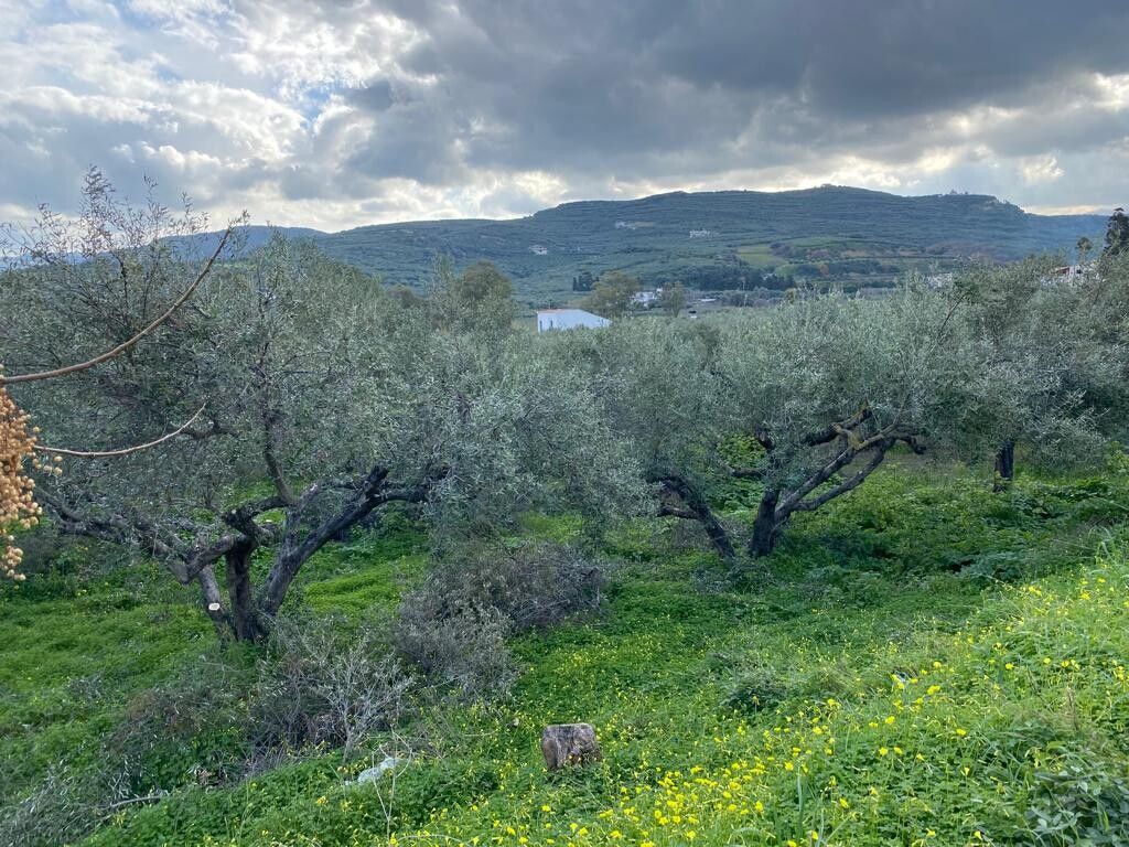 Land in Chania Prefecture, Greece, 1 600 sq.m - picture 1