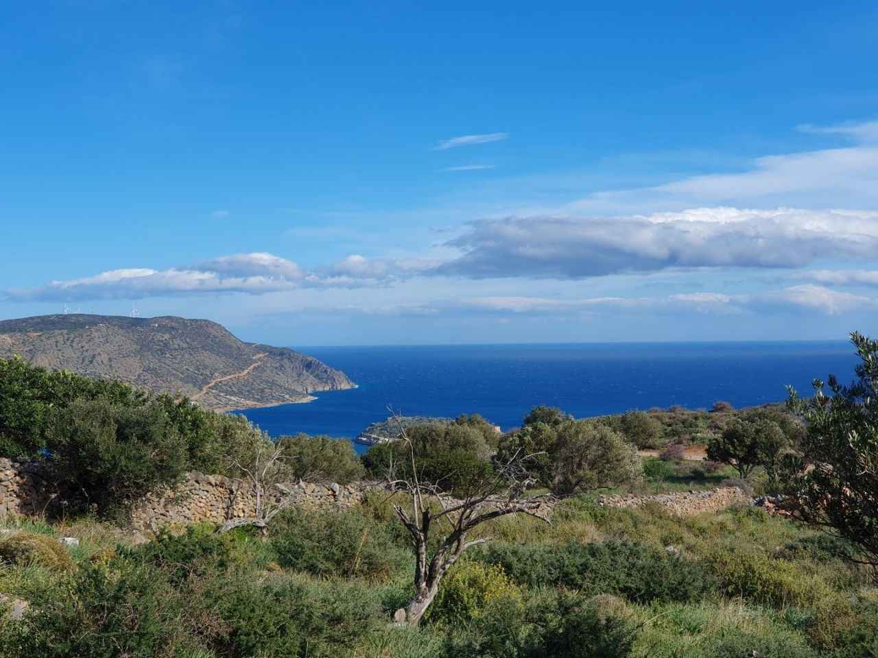 Land in Lasithi, Greece, 4 004 sq.m - picture 1