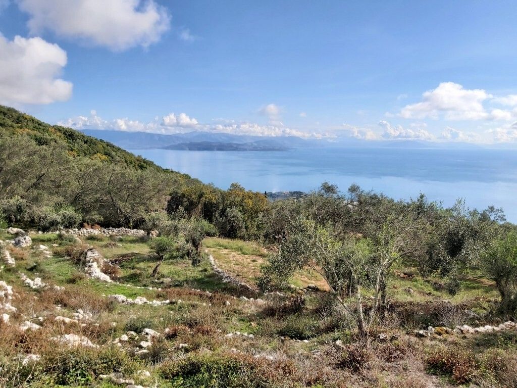 Land in Corfu, Greece, 9 500 sq.m - picture 1