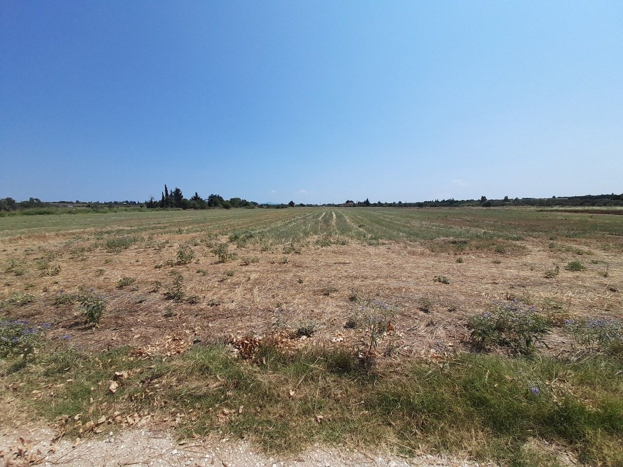 Land in Thessaloniki, Greece, 11 100 sq.m - picture 1