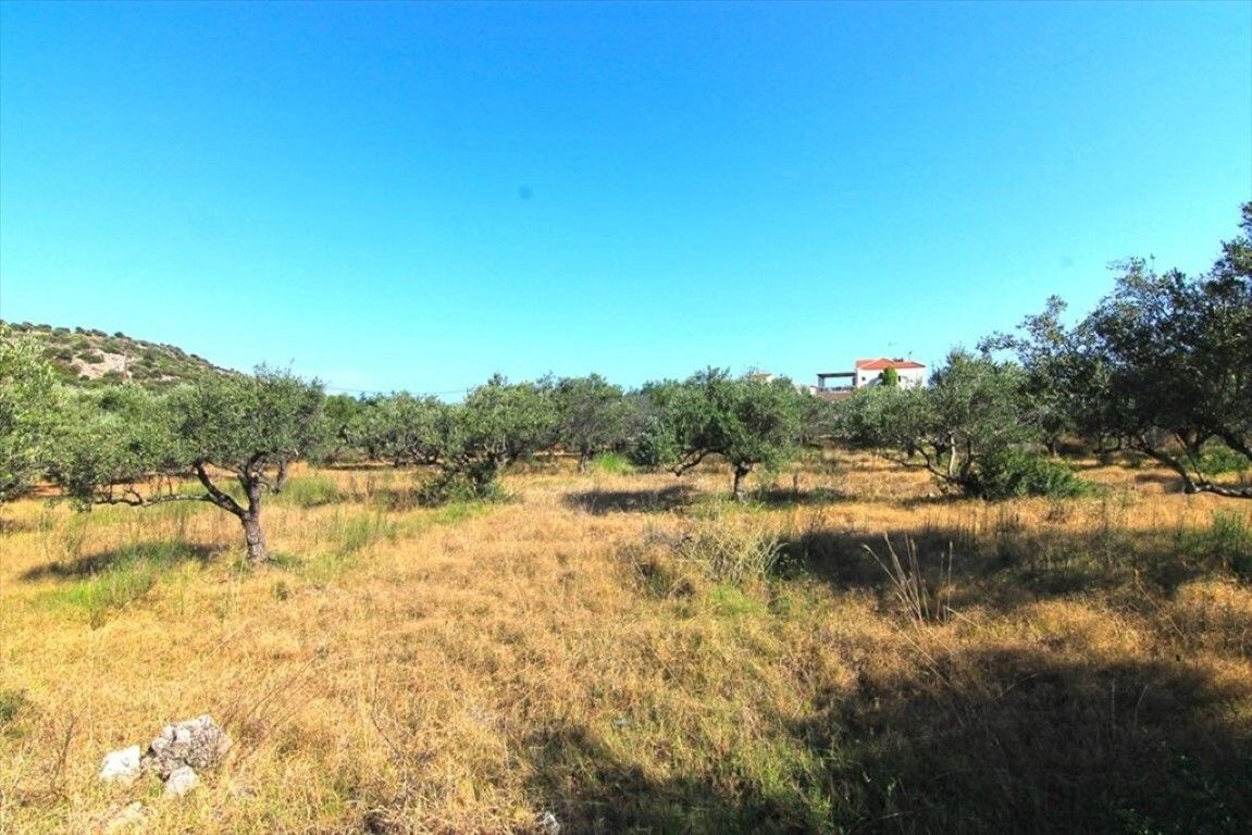 Land in Lasithi, Greece, 5 500 sq.m - picture 1