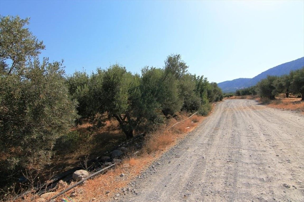 Land in Milatos, Greece, 5 000 sq.m - picture 1