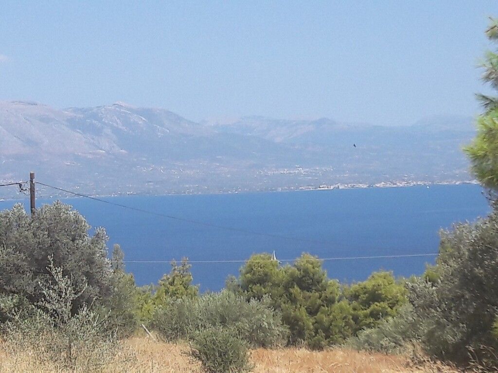 Land on Eretria, Greece, 8 076 sq.m - picture 1