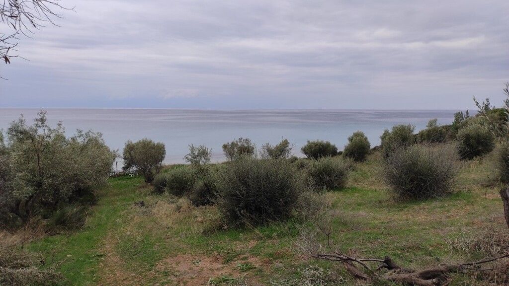 Land in Sani, Greece, 1 625 sq.m - picture 1