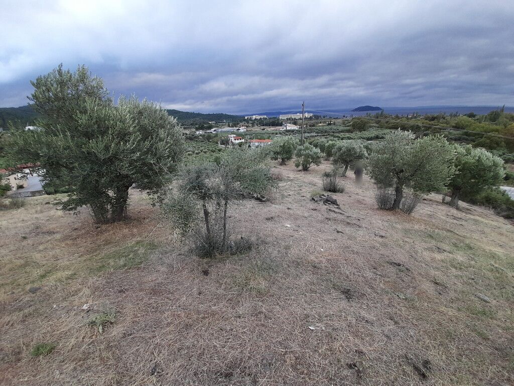 Grundstück in Sithonia, Griechenland, 4 800 m2 - Foto 1